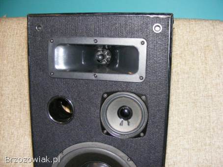 Kolumna głośnik CAT 250W 8 Ohm w całości lub na części gł.  niskotonowy uszkodzony