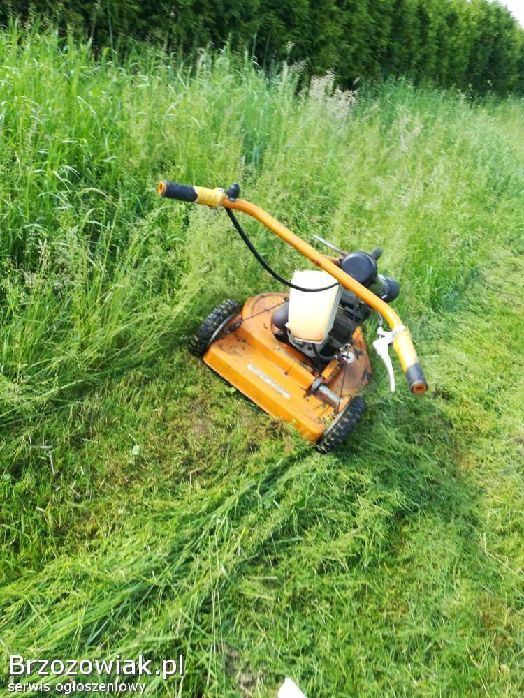 Kosiarka Do Wysokiej Trawy Strzyżów - Brzozowiak.pl