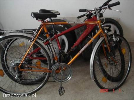 3 rowery dla każdego