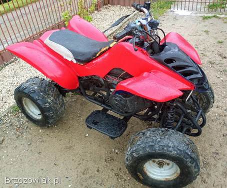 Quad 150 AUTOMAT