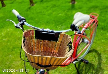 Rower Miejski Storm Paris 28”