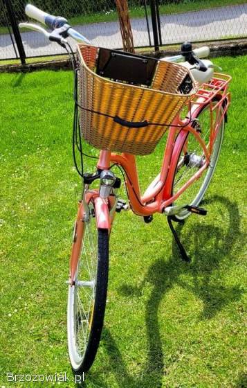 Rower Miejski Storm Paris 28”