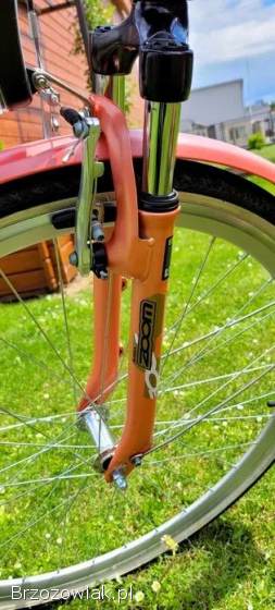 Rower Miejski Storm Paris 28”