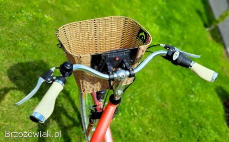 Rower Miejski Storm Paris 28”