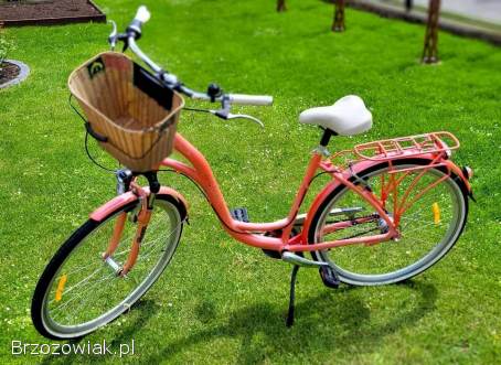 Rower Miejski Storm Paris 28”