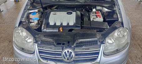 Volkswagen Golf V 1.  9 TDI salon 2007