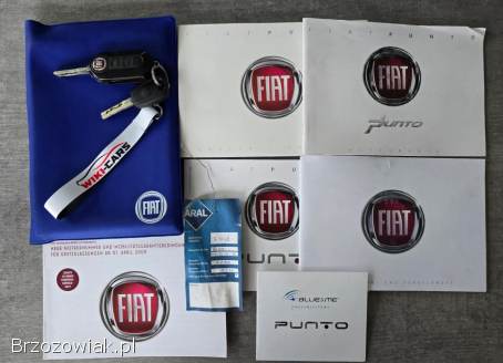 Fiat Punto Evo 8 V Dynamic 2011