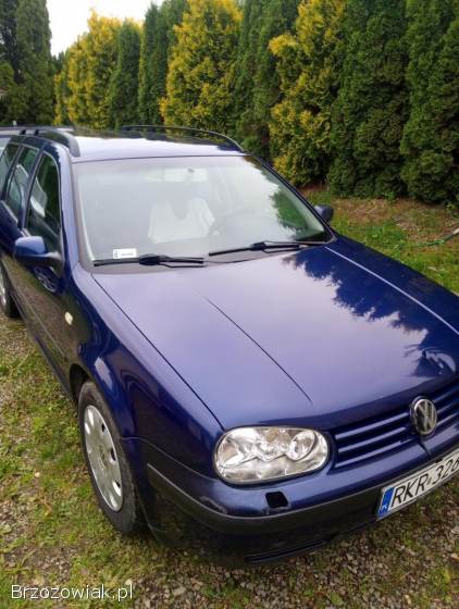 Volkswagen Golf Kombi 1999