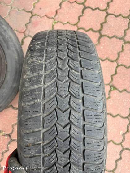 Opony zimowe Audi 195/65/15
