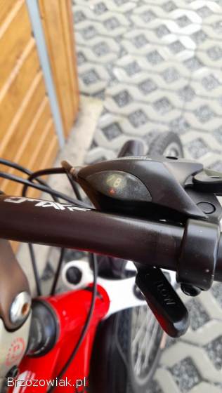 Rower trekkingowy Winora