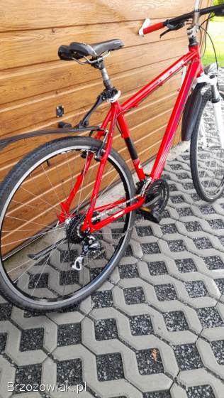 Rower trekkingowy Winora