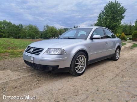 Volkswagen Passat B5FL 2002