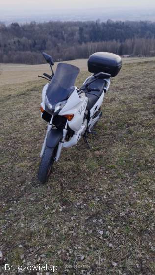 Honda Varadero Xl 2006