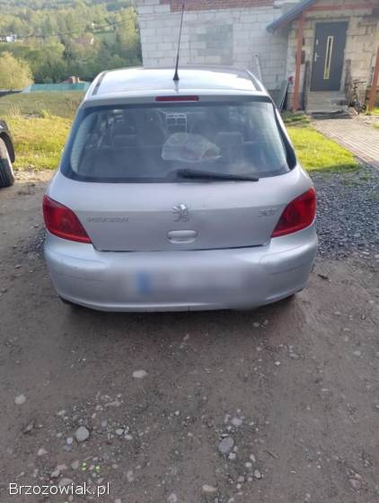 Peugeot 307 2002