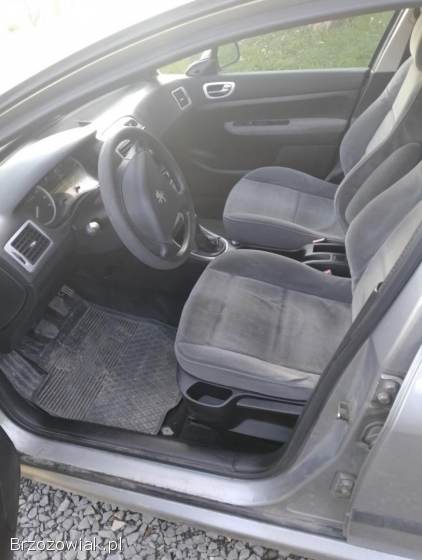 Peugeot 307 2002