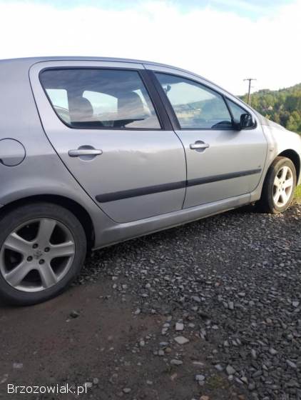 Peugeot 307 2002