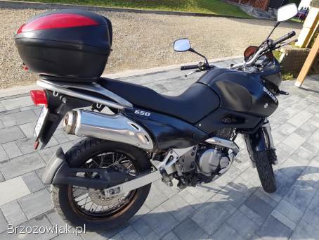Suzuki XF 1999