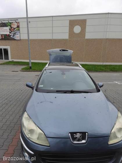 Peugeot 407 SW 2008