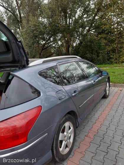 Peugeot 407 SW 2008