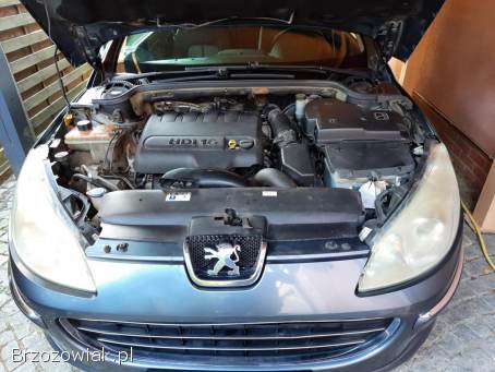 Peugeot 407 SW 2008