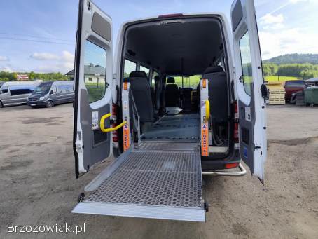 Bus do przewozu osób niepełnosprawnych,  wynajem,  kategoria B
