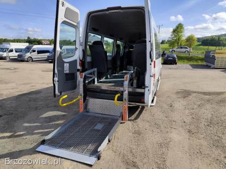Bus do przewozu osób niepełnosprawnych,  wynajem,  kategoria B