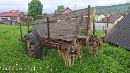 MTZ 82 i Przyczepa leśna