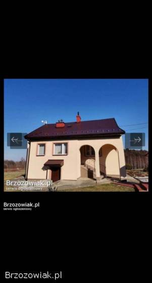 Malowanie dachów pędzlami 25 zł za m2