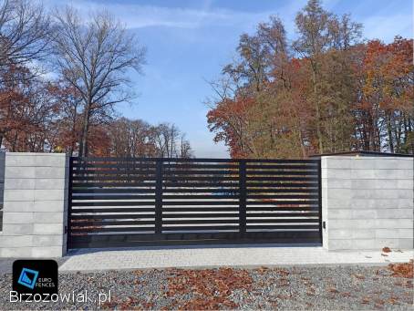 Aluminiowe ogrodzenie Euro Fences -  model NU