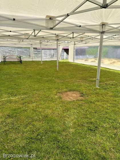 NAMIOT IMPREZOWY,  PAWILON OKOLICZNOŚCIOWY -  WYNAJEM