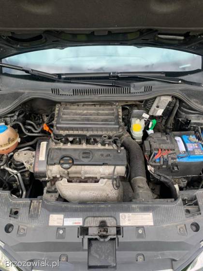 Seat Ibiza 4 2011