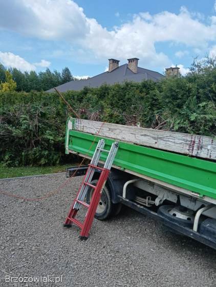 Wycinka tuj koszenie trawy itp