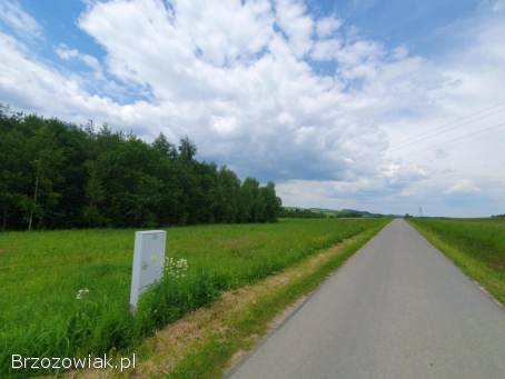 Działka budowlana 24 ary,  Nozdrzec,  przy lesie,  warunki zabudowy