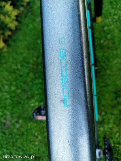Trek Roscoe 6 rower górski