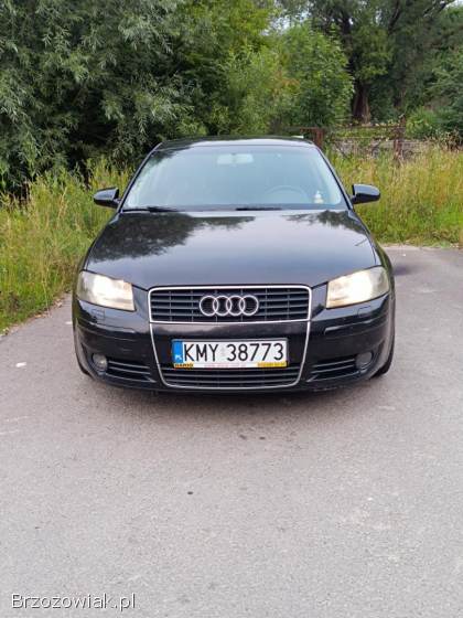 Audi A3 8P 2004