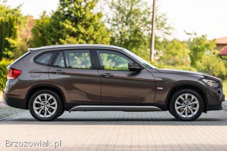 BMW X1 2010
