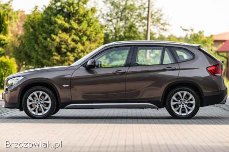 BMW X1 2010