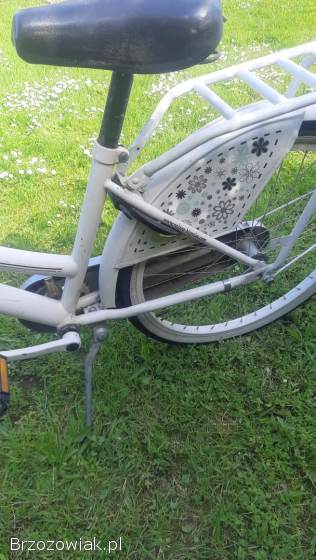 Rower damka koła 24