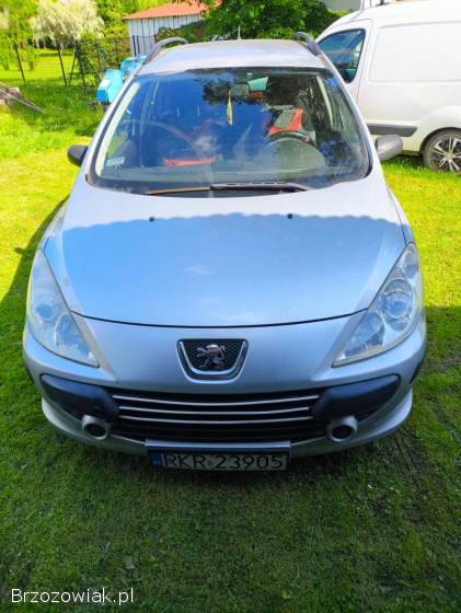 Peugeot 307 2005
