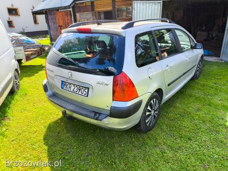 Peugeot 307 2005