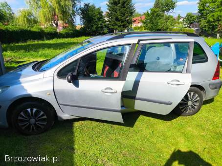 Peugeot 307 2005