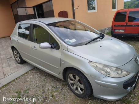 Peugeot 307 2005