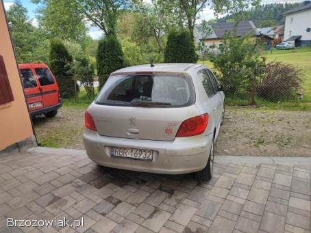 Peugeot 307 2005