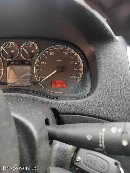 Peugeot 307 2005