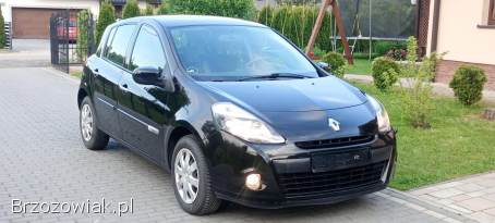 Renault Clio Klima ocynk 1wł 2012
