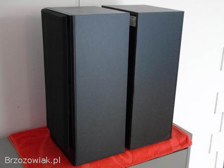 Świetne stereo kolumny Pioneer CS-301.  WYSYŁKA