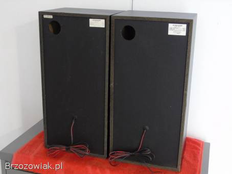 Świetne stereo kolumny Pioneer CS-301.  WYSYŁKA