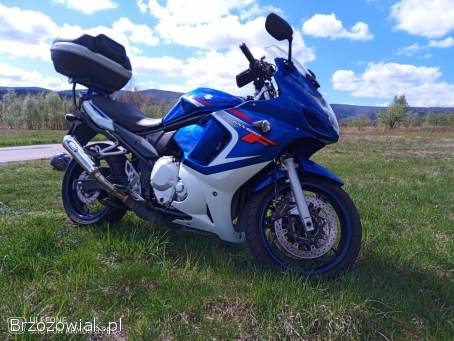 Suzuki GSX 650 2009