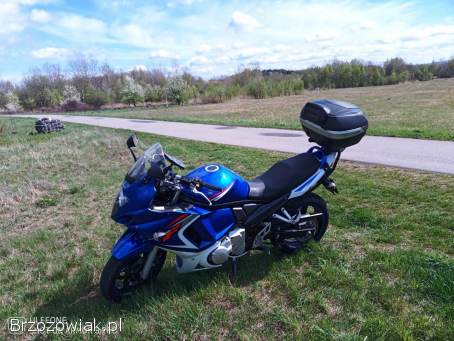 Suzuki GSX 650 2009