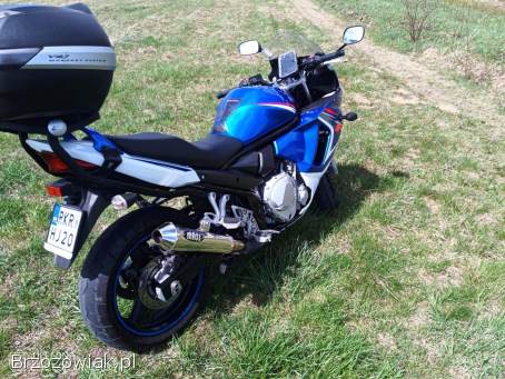 Suzuki GSX 650 2009